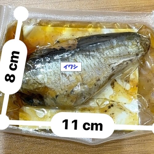 3P-1000